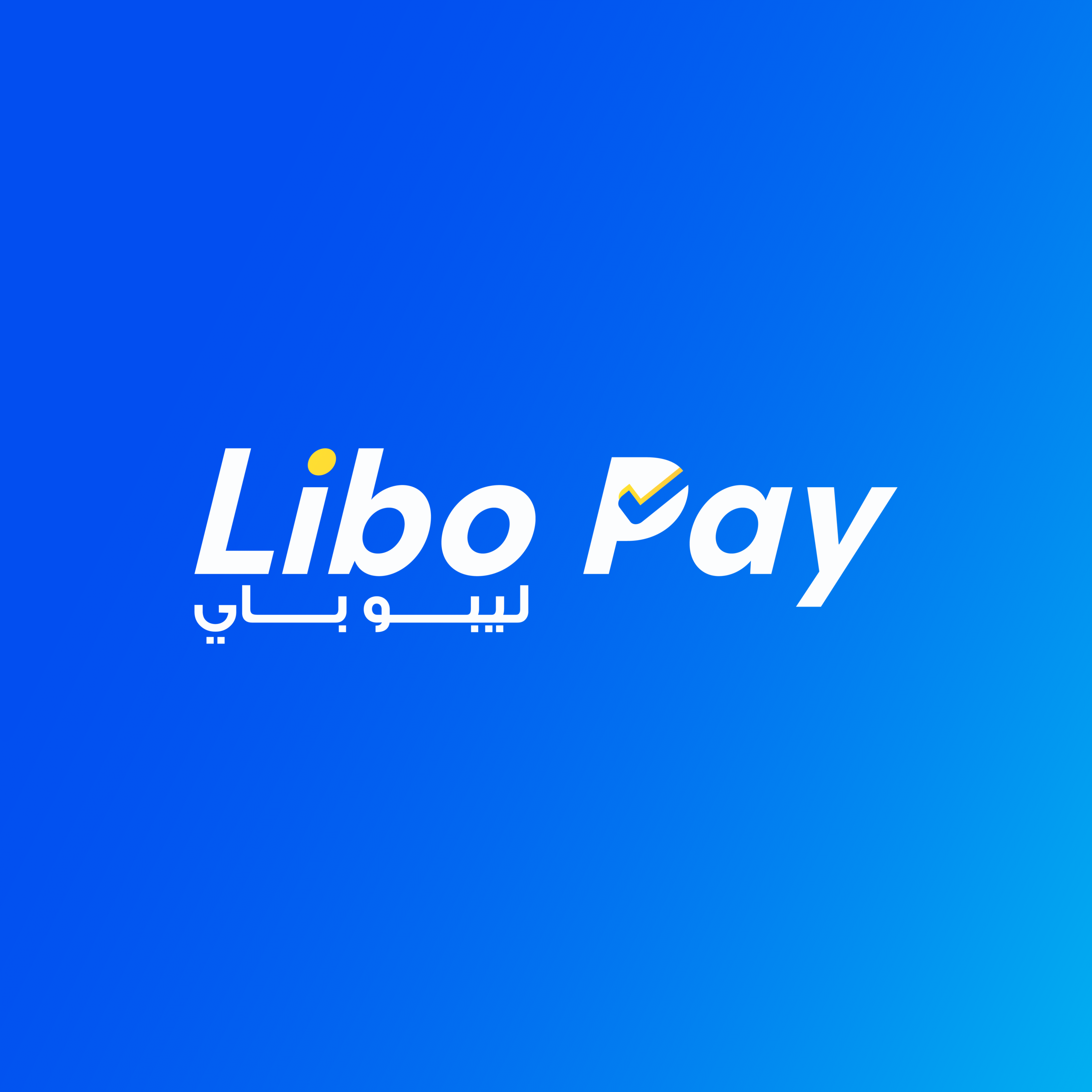 libo pay 02